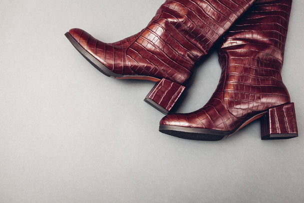 Square heels boots, stylish burgundy reptile skin leather shoes for women. Female spring fashion. Trendy footwear on grey background. Space - Photo, Image