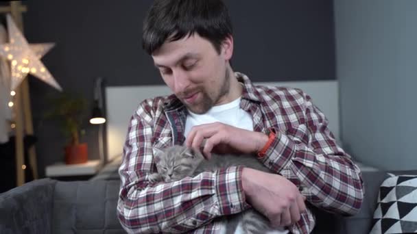 Caucásico macho sostiene pequeño lindo gris escocés recta gatito en brazos que se duerme en casa en sofá. Las manos del hombre sostienen con seguridad diminuto durmiendo British Purebred gatito esponjoso. Gato recién nacido, animal niño - Imágenes, Vídeo