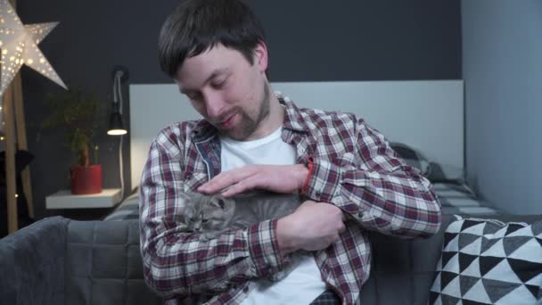 Escocés heterosexual gris gatito duerme en los brazos del propietario de la casa. Bonito gato británico se duerme en manos de un joven. Tema de hombre y mascota. Masculino acariciando durmiendo gatito - Metraje, vídeo