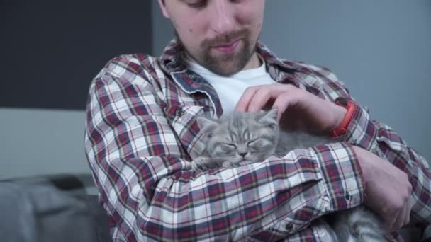 Шотландский прямоухий серый котенок спит на руках хозяина дома. Тщательно породистая маленькая британская кошка засыпает в руках молодого человека. Мужчина и любимая тема. Мужской ласковый спящий котенок - Кадры, видео