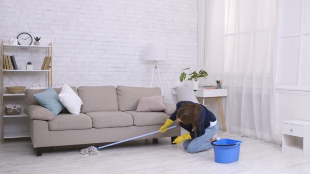 Intensiivinen siivous. Nuori nainen pesu lattia sohvan alla olohuoneessa, polvillaan lähellä sitä - Materiaali, video