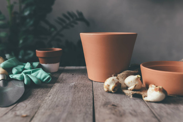 Keramische potten op oude grijze houten tafel, tulpenbollen, groene handschoenen, tuinschop. Hoge kwaliteit foto - Foto, afbeelding