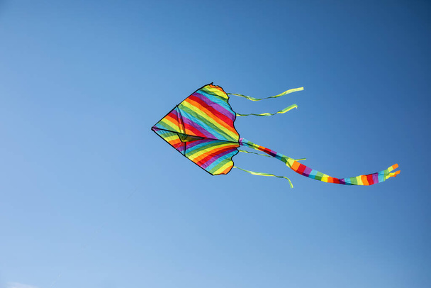 Цветной змей, летящий в голубом небе - Фото, изображение