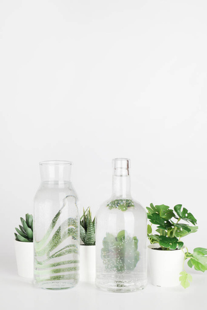 Pflanzen in Töpfen durch Wasser in Flaschen auf weißem Hintergrund verzerrt. Wohnkultur, umweltfreundlich, Entspannungskonzept - Foto, Bild