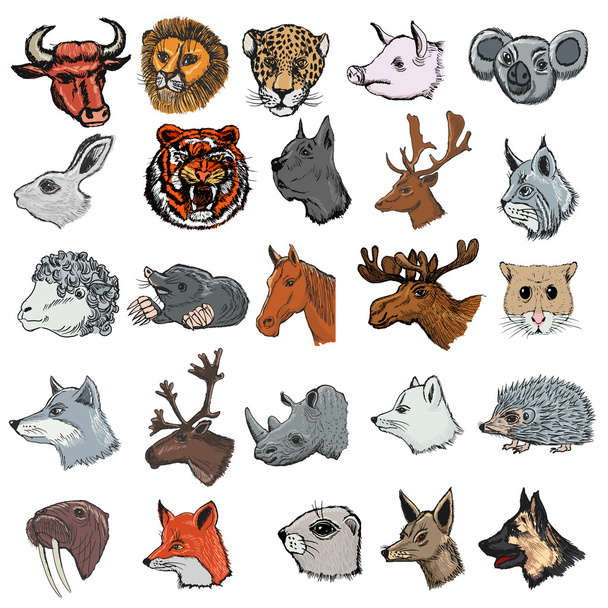 set of animals - Vector, Image