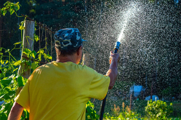 An elderly man watering the garden on a sunny evening. Sprinkles a lot of water from a watering hose. View from behind. Focus on the hand. - Photo, Image