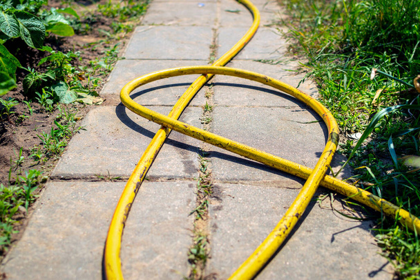 Yellow watering hose on the garden sidewalk path, watering plants in the garden, vegetable garden or on the lawn with trees and shrubs.. - Photo, Image