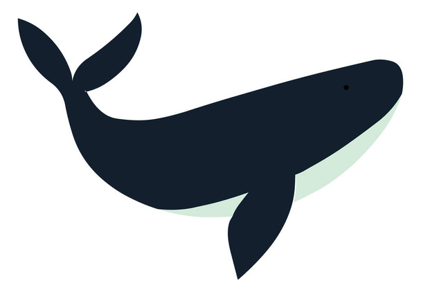 Vector ballena azul ilustración stock vector aislado en fondo blanco - Vector, Imagen