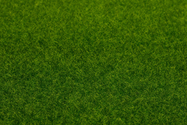 Зеленый фон газона. Зеленая трава, вид сверху.  - Фото, изображение