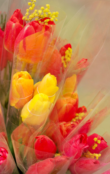 Mazzo di tulipani
 - Foto, immagini