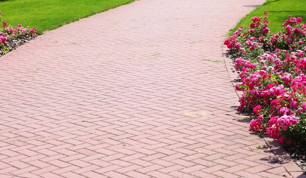 Stone pathway in garden, brick sidewalk - Фото, изображение