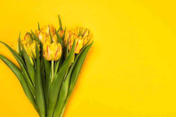 Tulpenstrauß auf leuchtendem gelben Hintergrund - Foto, Bild