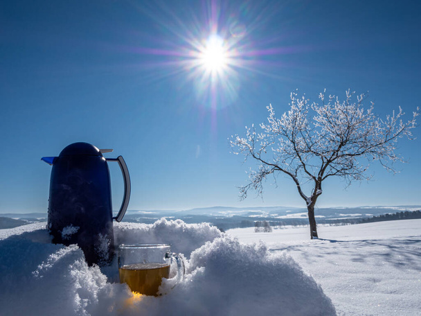 chá fresco com garrafa térmica em uma paisagem de inverno - Foto, Imagem