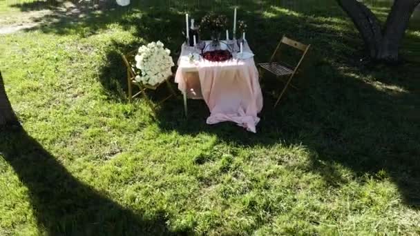 Romantische decorelementen voor huwelijksaanvragen. Romantisch outdoor diner - Video