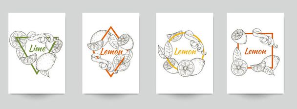Set of template for branding, cover package, identity, banner, promote, card, label with lemon or lime in retro vintage hand drawn, sketches, engraved style. Modern background. Vector illustration. - Vector, Image
