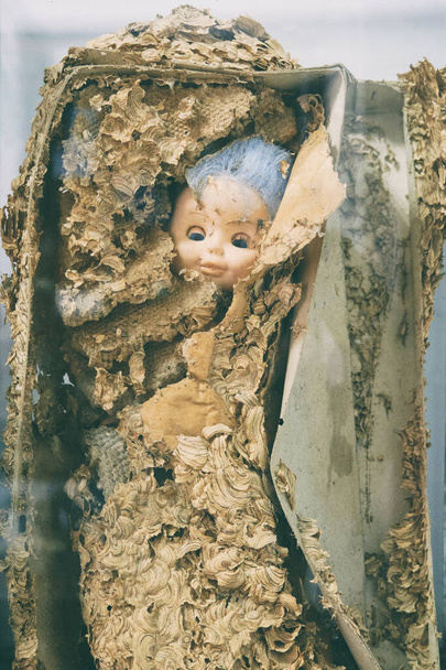 Wespennester in einer Kinderpuppe. Schachtel mit einer Baby-Gruselpuppe - Foto, Bild