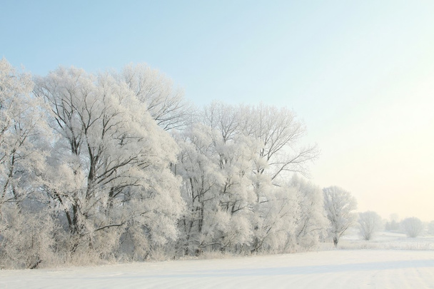 Зимний пейзаж утром
 - Фото, изображение
