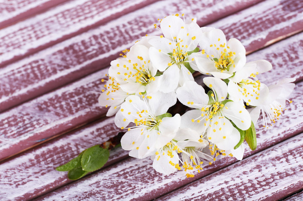 Blooming tree branch with white flowers on wooden background - Photo, image
