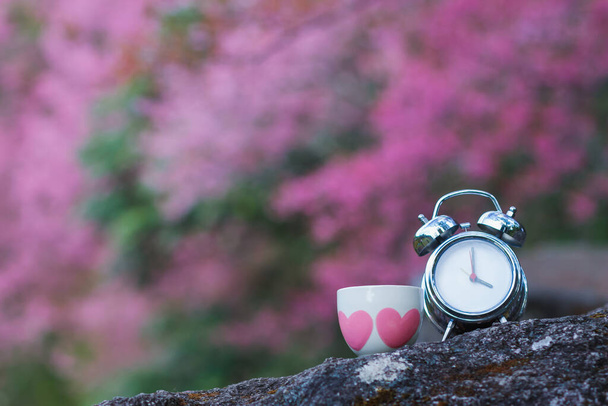 De wekker en koffiemok werden in de ochtend op de rotsen geplaatst en hadden een wazige achtergrond Pink Sakura in de ochtend Het idee voor een goed moment om koffie te drinken is de ochtend. - Foto, afbeelding