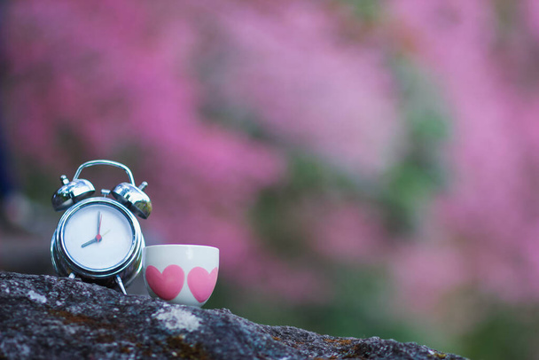 Az ébresztőórát és a kávéscsészét reggel tették a sziklákra, a háttér pedig reggel elmosódott a rózsaszín Sakura-tól. A jó szórakozás ötlete a reggeli kávé.. - Fotó, kép