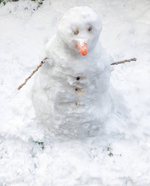 un muñeco de nieve pequeño con una nariz de zanahoria en el jardín en invierno - Foto, Imagen
