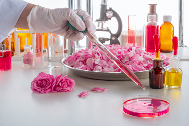 Een handschoen pipetteren in een petrischaal in een up-to-date parfumlaboratorium. Focus op druppel - Foto, afbeelding