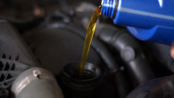 Motor de aceite sintético verter al motor del coche. Aceites sintéticos para la protección de coches Imágenes del motor. - Metraje, vídeo