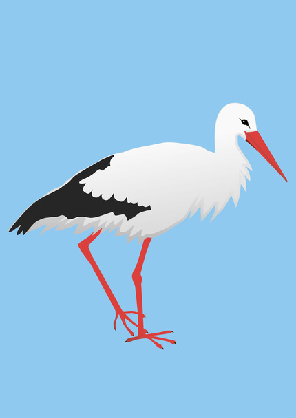 An illustration of a stork - Vector, Image