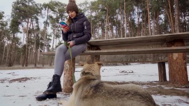 Hermosa mujer joven delgada sentada con teléfono móvil en un banco de madera con su perro pastor en collar con correa en el bosque de pinos de invierno con nieve - Imágenes, Vídeo