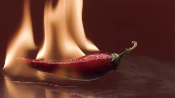 Primo piano di peperoncino rosso piccante in fiamma di fuoco isolato su sfondo rosso. Filmati delle scorte. Concetto di cucina vegetariana. - Filmati, video