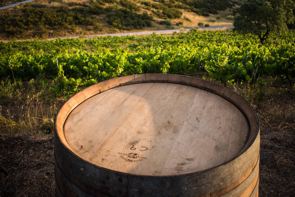 un barril de vino con un viñedo en el fondo - Foto, Imagen