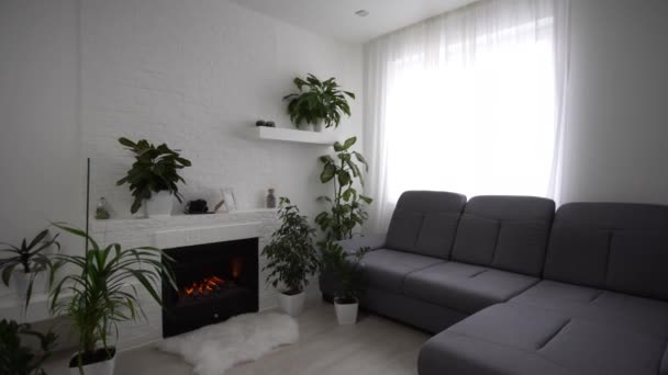 Panoramica di appartamento interno, soggiorno e cucina vuota - Filmati, video