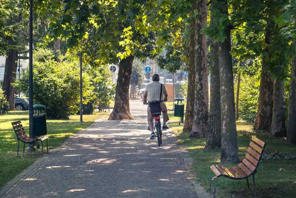 homme faisant du vélo au parc, personne âgée faisant du sport en plein air - Photo, image