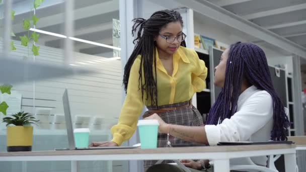 Afrikkalainen amerikkalainen naispuoliset työtoverit puhuvat työstä yhdessä jakaa ideoita digitaalisen markkinoinnin strategiaa toimistossa kokouksessa. - Materiaali, video