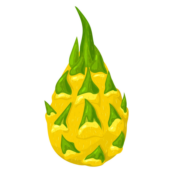 Čerstvé celé žluté plody pitaya izolované na bílém pozadí. Letní plody pro zdravý životní styl. Ekologické ovoce. Kreslený styl. Vektorová ilustrace pro každý design - Vektor, obrázek