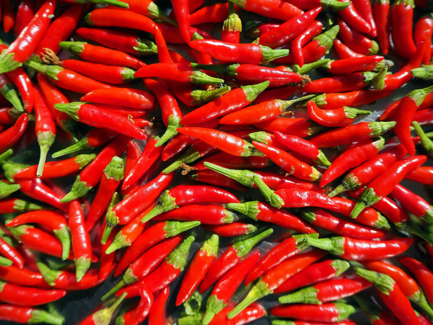 Красный, горячий, органический домашний перец - Фото, изображение