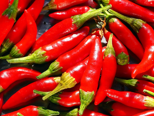 Red, hot, organic home-grown peppers - Photo, Image