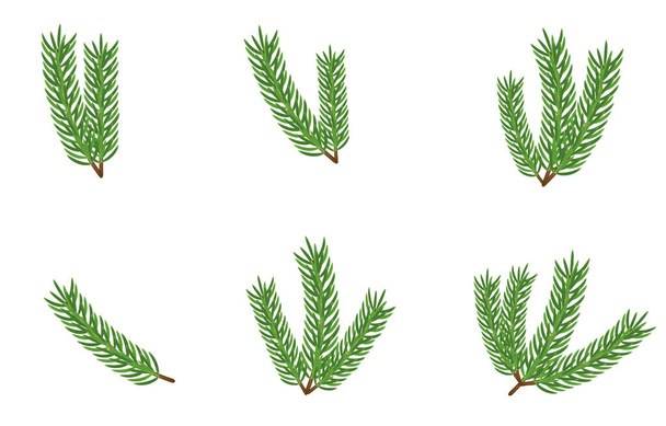 Conjunto de ramas de abeto vectorial aisladas en blanco. elementos de diseño del árbol onífero. Rama del árbol de Navidad. - Vector, Imagen