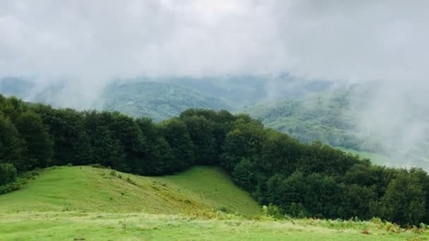 山の中の美しい曇りの風景のパノラマ。草の野と丘. - 映像、動画