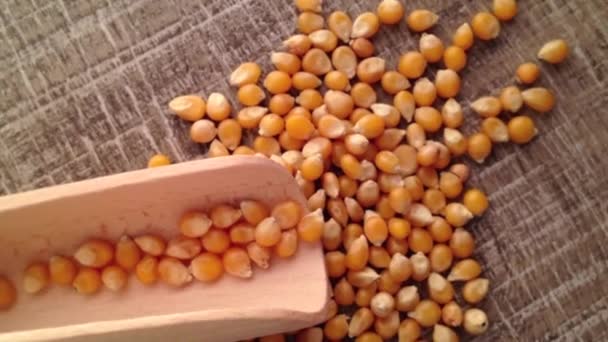 Colher com milho
 - Filmagem, Vídeo