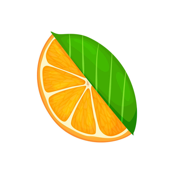 Fresh ripe orange. Piece fruit with leaves. Vector illustration in a flat style - Vector, Image