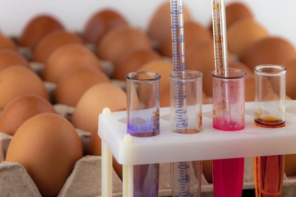 pipette di vetro per analisi in provette sullo sfondo del vassoio delle uova - Foto, immagini