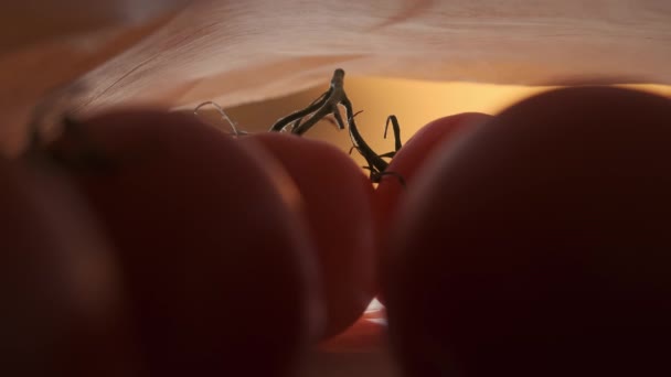 Ręka wyciąga czerwone pomidory z papierowej torby, zamyka. Świeże soczyste zdrowe pomidory do gotowania z gospodarstw ekologicznych. - Materiał filmowy, wideo