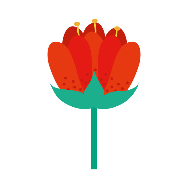 rode bloem pictogram, kleurrijk ontwerp - Vector, afbeelding