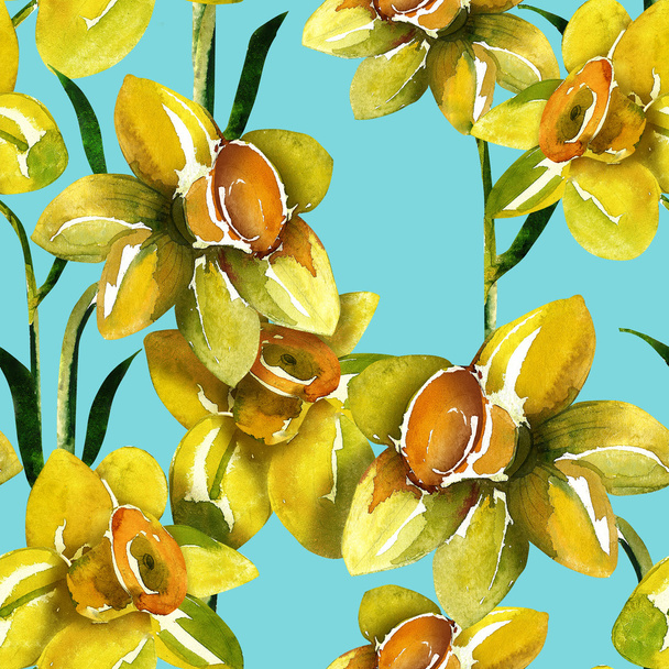 Narcissus naadloze patroon - Foto, afbeelding