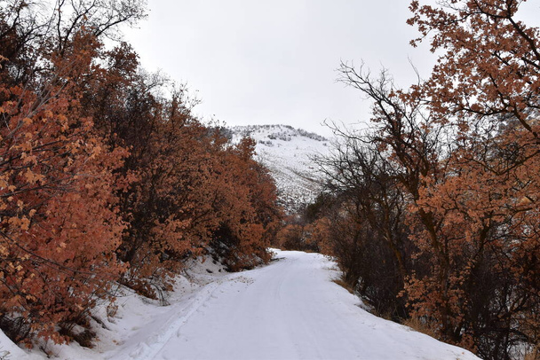 Snowy Hiking Trail views towards Lake Mountains Peak via Israel Canyon road towards Radio Towers in winter, Utah Lake, Wasatch Front Rocky Mountains, Provo, United States. - Photo, Image