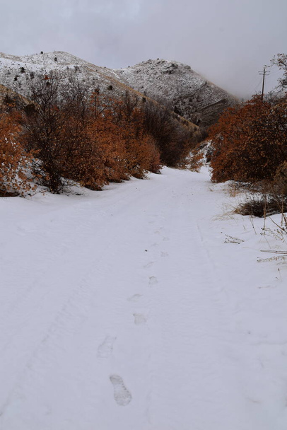 Blick auf den verschneiten Wanderweg in Richtung Lake Mountains Peak über die Israel Canyon Straße in Richtung Funktürme im Winter, Utah Lake, Wasatch Front Rocky Mountains, Provo, Vereinigte Staaten. - Foto, Bild