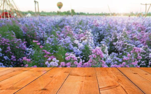 perspectiva placa de madeira sobre margaret jardim de flores como modelo - Foto, Imagem