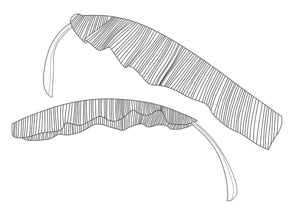 Лінія Банановий лист вишитий дизайн свіжий на білому фоні вектор ілюстрації
 - Фото, зображення