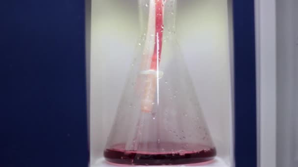 mezcla de líquidos en un tubo de ensayo de vidrio - Metraje, vídeo